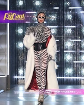 Zebra Print Resort Look