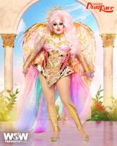 Promo Look