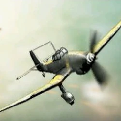 Fighter-bombers
