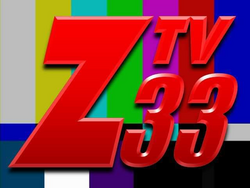 ZTV 33 Logo 2008