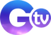 GTV Logo 2021.png