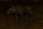Loup noir.png