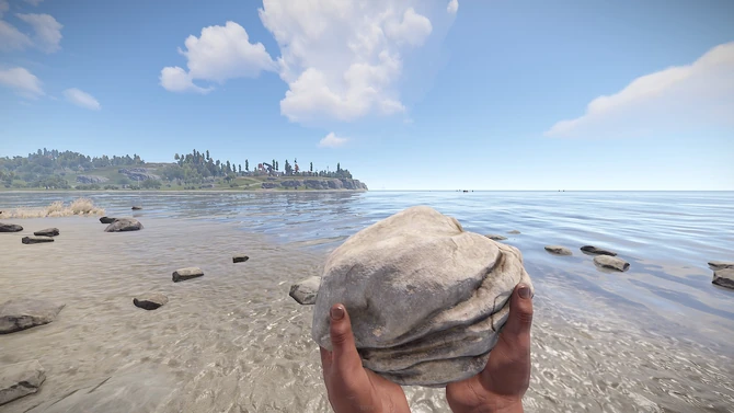 Erwache am Strand einer Insel nur Bewaffnet mit einem Stein und einer Fackel