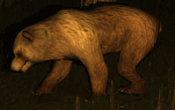 Ours.png