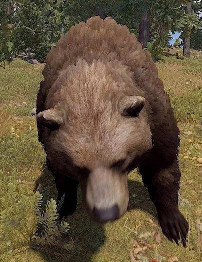 Bär Rust Wiki Fandom