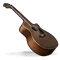 Acoustic Guitar