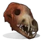 Wolf Skull