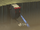 Naraka cliff.png