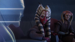 Ти и остальные мастера обсуждают обвинения, предъявленные 