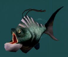 Laa fish SWG