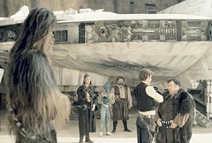 Declan Mulholland near Falcon