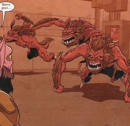 Гандарки SWRM10