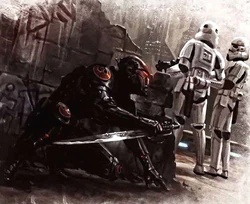 Rebel assassin AoRCR