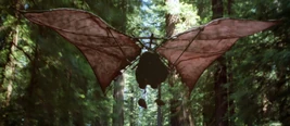 Ewoks' glider