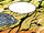 Poderis landscape TLC1.jpg