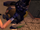 Thermal Detonator Launcher SWLA.png