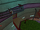 Ready to kill SWLA.png