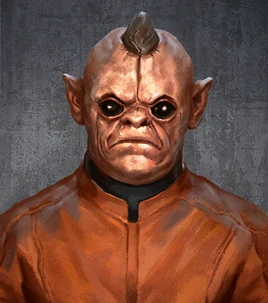 Bom Vimdin mugshot SaV