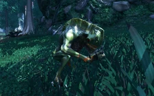 Альфа-скрытень в лесах Явина-4