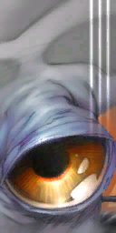 Mon-calamari-eye-2