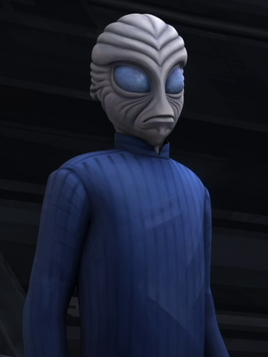 Unidentified Roonan aide