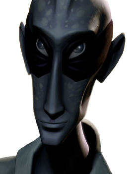 Doctor Nuvo Vindi