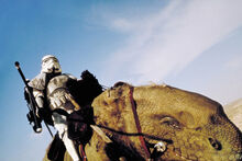 Штурмовик на рососпиннике