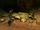 Republic Mining Droids SWTOR.png