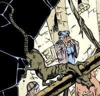 Эриаданская крыса на Большом Коросе