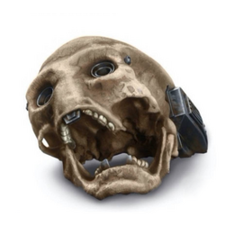 Ochi skull