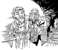 Два бимма в традиционной одежде.