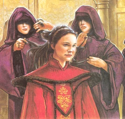 Amidala hair tending