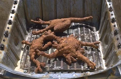 Жареные горги