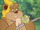 Widdle Warrick bait TSD.png