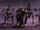 DogeCouncil.png
