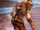 Fain shielded.png