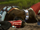 Bengel corpse.png