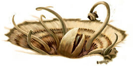 Sarlacc NEGAS