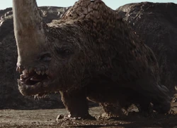 Грязерог готовится напасть на Дина Джарина