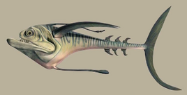Ray scalefish