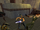 Thorn Of Ryloth using SWLA.png