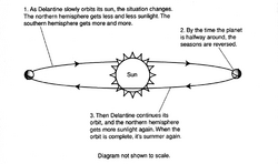 Delantine orbit diagram