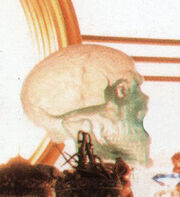 XimSkull