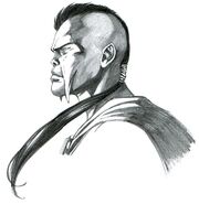  - Странник-дже'дайи