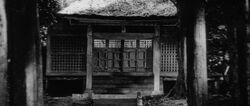 Forest temple Sanjuro