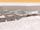 AbafarSettlement-ASDitV.png