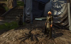 Зонн и Тилл'ин в археологическом лагере