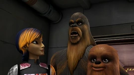 Вулффваро предлагает помощь повстанцам, если они вдруг понадобятся