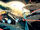 Parcellusminor2.JPG