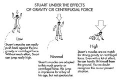 Stuart gravitation